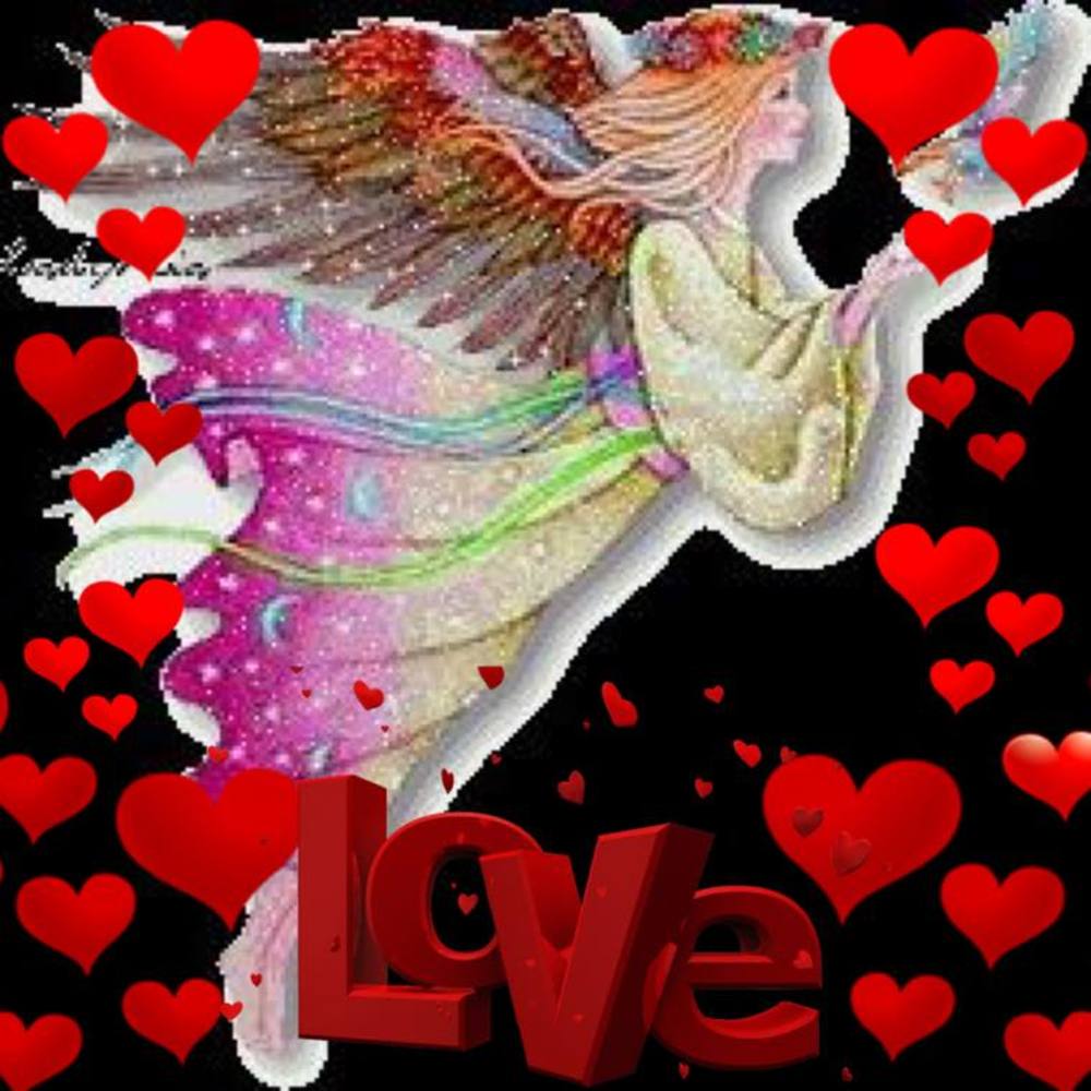 Meet your Posher, Elvia